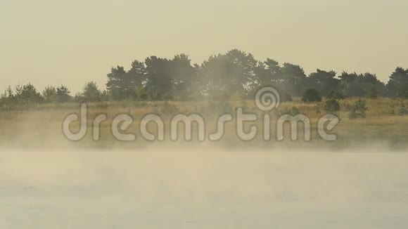 黎明时分湖面或河面上的美丽雾气视频的预览图