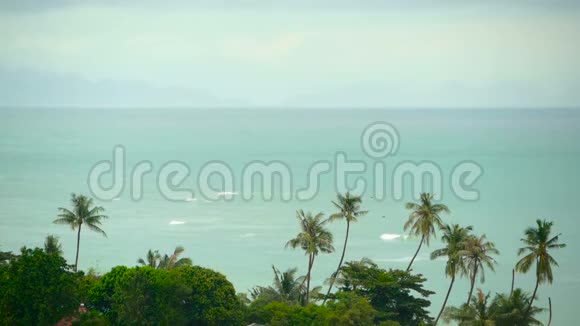 天堂岛异国风情海滩雨前热带植物摇曳视频的预览图