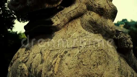 石狮历史古迹抖音树影视频的预览图
