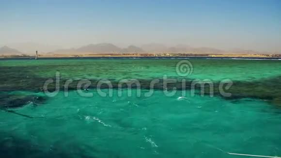 红海的珊瑚礁和埃及的清水视频的预览图