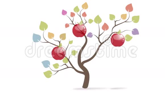 苹果树视频的预览图