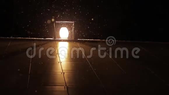 夜晚的路灯和冬天的大雪视频的预览图