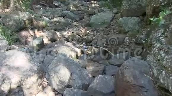 在岩石中反射水放大视频的预览图
