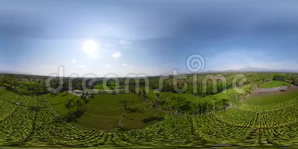 印度尼西亚水稻梯田和农业用地vr360视频的预览图