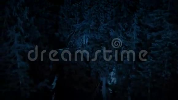 飞越雪夜森林的瀑布视频的预览图
