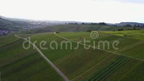 葡萄园山由无人驾驶飞机从上面飞过夕阳从绿色的乡村拍摄慢镜头无人机移动视频的预览图