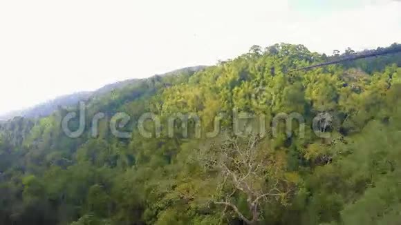 在老挝卢什丛林中骑着齐普林视频的预览图
