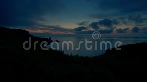 美丽的海景与野生牡丹在海滩上的叶拉塔保护区保加利亚视频的预览图