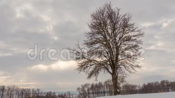 冬天的风景在寂寞的树上飞舞的云彩时光流逝视频的预览图