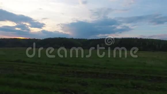 骑在绿色的草地上春天的晚上太阳躲在云层后面巨大的绿色草地视频的预览图