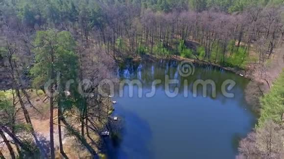 空中观景台飞过美丽的森林树木空中摄影机拍摄视频的预览图