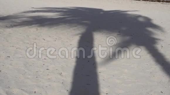 棕榈树叶的阴影在纹理沙滩上飘扬加勒比海墨西哥玛雅视频的预览图
