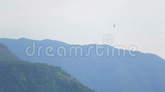 海鸥在意大利科莫湖上飞行背景山脉视频的预览图