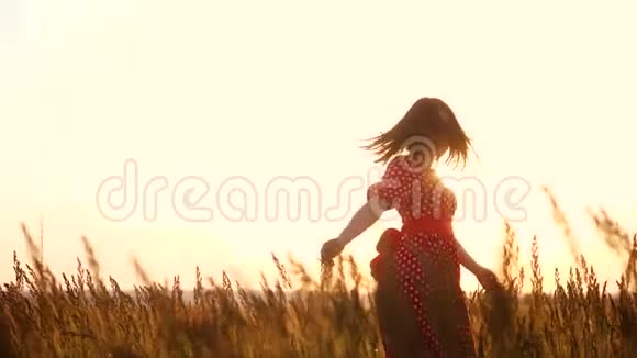 慢动作录像美丽的女孩在田野里旋转手在夕阳的阳光下的手剪影妇女概念视频的预览图