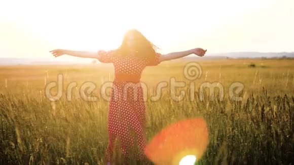 慢动作录像美丽的女孩在田野里旋转双手在夕阳的阳光下剪影妇女视频的预览图