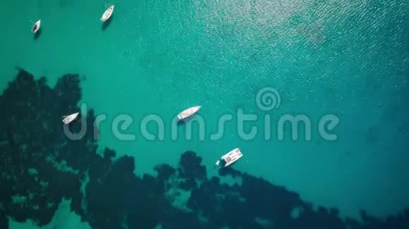 意大利撒丁岛的地中海无人机鸟景夏日狂欢视频的预览图