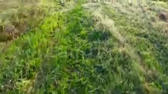 在潮湿的草地上行走用草煮草甸干净的水流早上好黎明视频的预览图