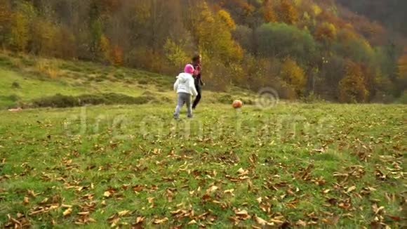 一位年轻的母亲和她的小女儿在秋天的森林里玩耍妈妈和一个小漂亮女孩在玩球视频的预览图