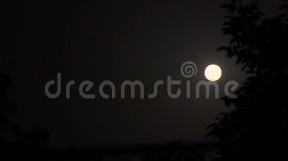 月亮背景树的轮廓夜空视频的预览图
