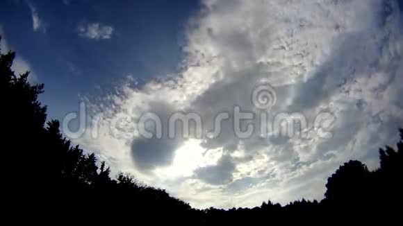 云在林间流动的时间流逝视频的预览图