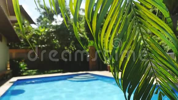 棕榈叶在游泳池前的热带度假胜地慢动作1920x1080视频的预览图