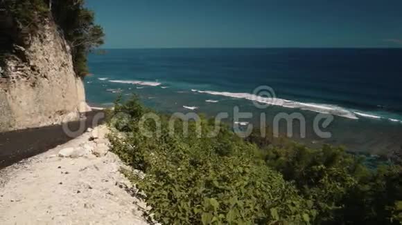 森林和海洋之上的悬崖视频的预览图