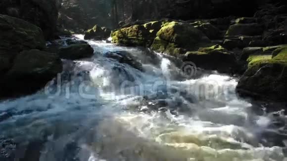 长满苔藓的岩石的河流视频的预览图