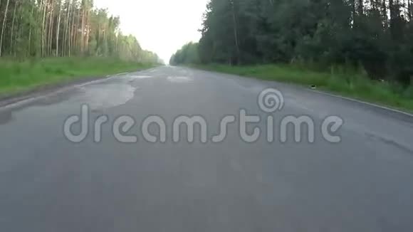 开车在柏油路上穿过森林视频的预览图