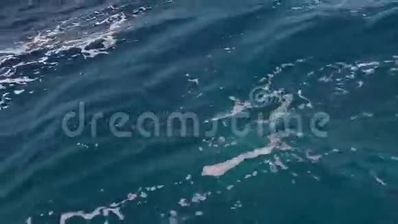 红海水域全帧画面背景视频的预览图