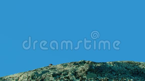 两个女孩在蓝天的岩石上视频的预览图