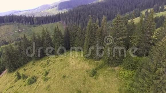乘飞机在山上飞过夏天的喀尔巴阡山森林视频的预览图