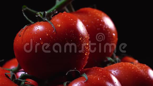 新鲜洗过的西红柿表面是黑色的背景一滴水的近距离流动在视频的预览图