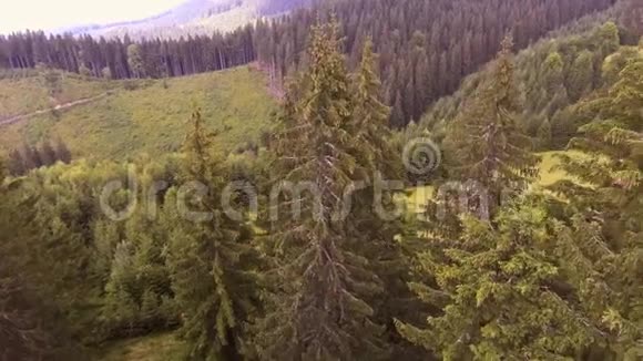 乘飞机在山上飞过夏天的喀尔巴阡山森林视频的预览图