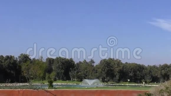摩洛哥高尔夫球场湖从车上可以看到风景视频的预览图