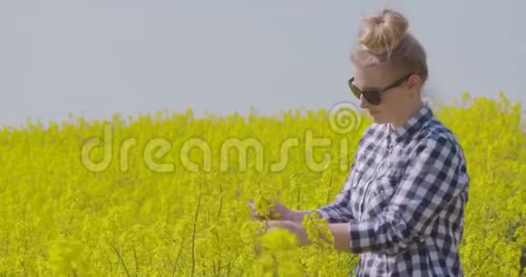 农民检查油菜开花植物视频的预览图