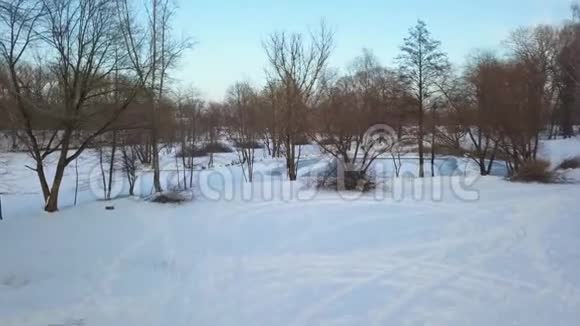 一条被白雪覆盖的树木和河岸包围的冬季冰冻河流的空中景色视频的预览图