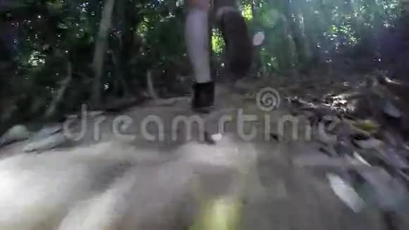 徒步穿越热带雨林的女人视频的预览图