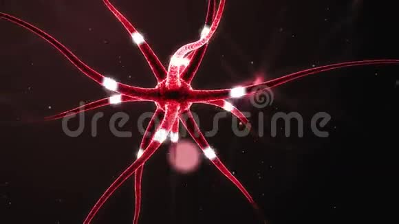 形成神经网络的神经元视频的预览图