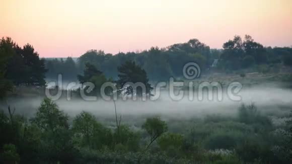 时间随着早晨的日出在田野里流逝视频的预览图
