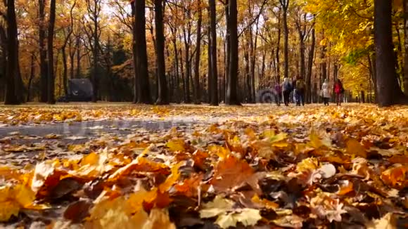 秋天的城市公园很漂亮的背景视频的预览图