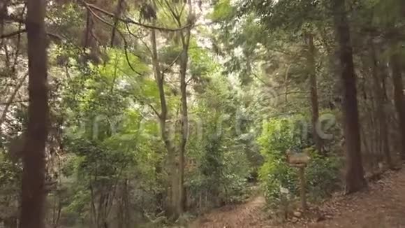 在雅素的米卡米山徒步旅行视频的预览图
