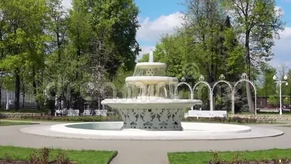 俄罗斯莫斯科高尔基公园的古泉视频的预览图