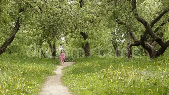 快乐的小女孩在夏天公园跑步视频的预览图