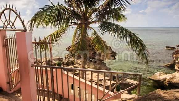 楼梯铁栏杆通往海滩上的海石棕榈视频的预览图