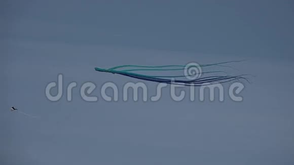 章鱼和一只鸟风筝在空中飞翔视频的预览图