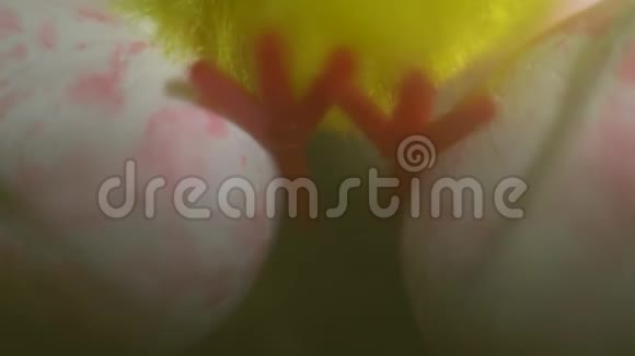 复活节装饰玩具鸡视频的预览图