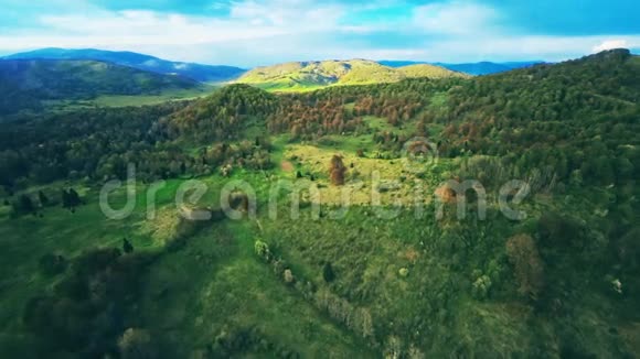 绿色森林自然航拍视频的预览图