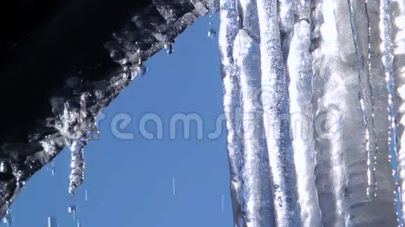 几根巨大的冰柱在春天解冻视频的预览图