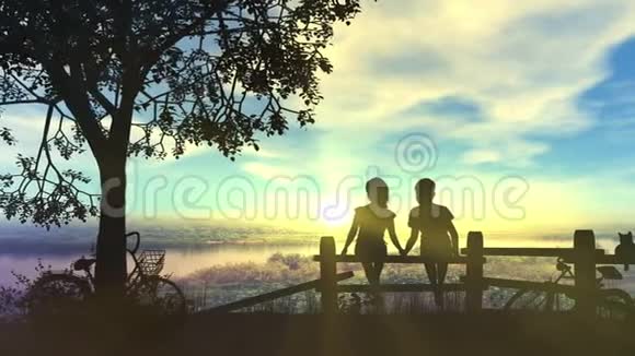 男孩和女孩牵手看夏天的日落视频的预览图
