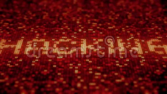 在红色计算机屏幕上闪烁十六进制符号构成HACKING字循环三维动画视频的预览图